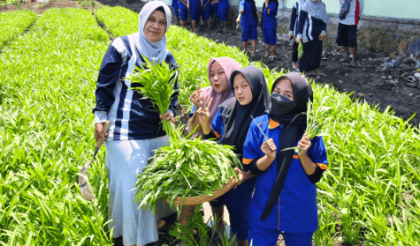 SMK Negeri Kudu Melaju dengan Edu Garden Care: Menanam Sayur, Menumbuhkan Jiwa Wirausaha